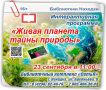 Интерактивная программа «Живая планета» состоится в библиотеке Находки