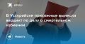 Суд в Уссурийске вынес приговор за смертельное избиение