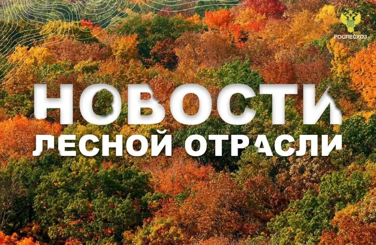 ТАСС: В Якутии нет действующих лесных пожаров