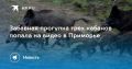 ������ ��� ����� ������. � �������� ���� ����� ������� ������ � �������� �����������