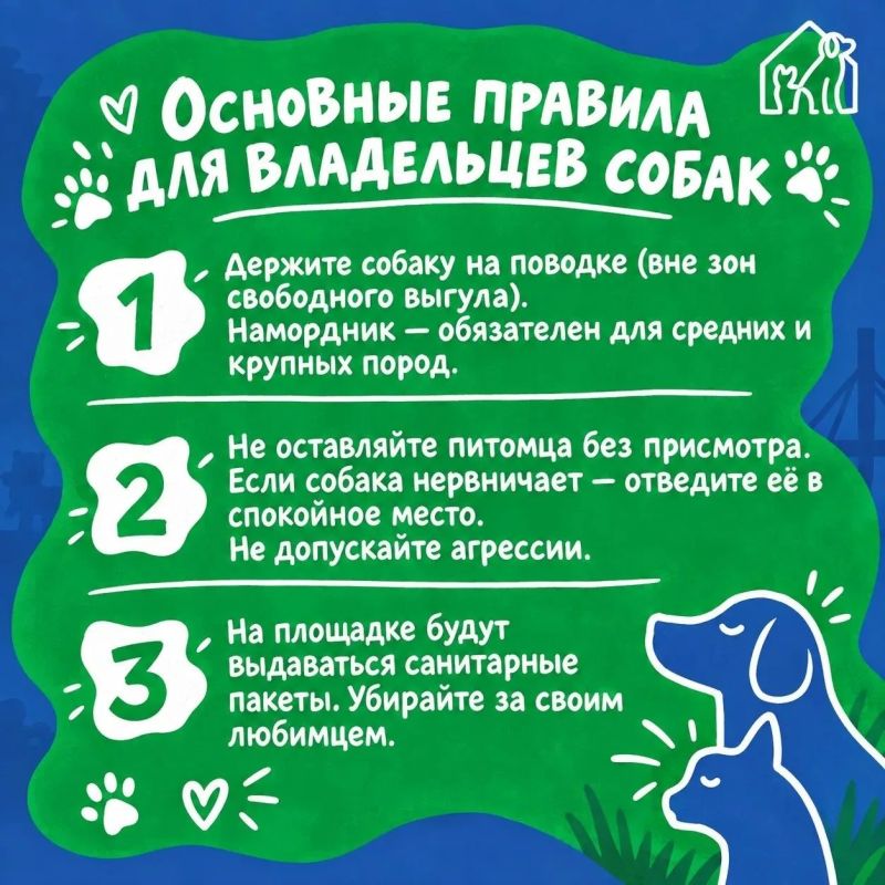 Уже завтра пройдет фестиваль «Собаки города_В»