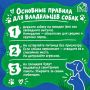 Уже завтра пройдет фестиваль «Собаки города_В»