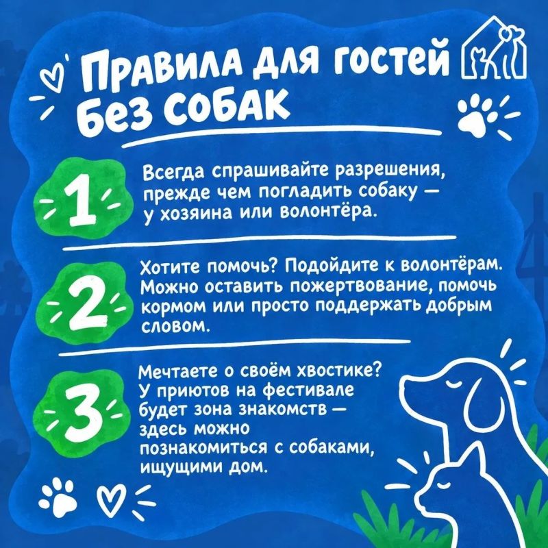 Уже завтра пройдет фестиваль «Собаки города_В» Уже завтра пройдет фестиваль «Собаки города_В»