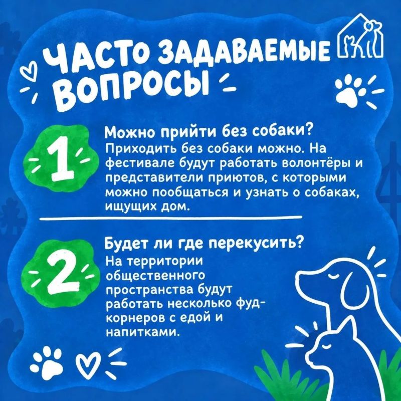 Уже завтра пройдет фестиваль «Собаки города_В» Уже завтра пройдет фестиваль «Собаки города_В»