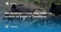 ������ ��� ����� ������. � �������� ���� ����� ������� ������ � �������� �����������