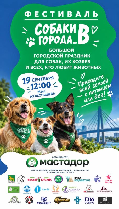 УЖЕ ЗАВТРА! «Собаки города_В» возвращаются!