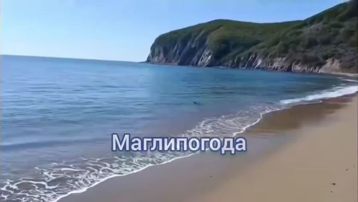 Хищную акулу заметили у берега в районе Рудной Пристани