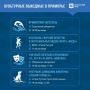 Яркие и насыщенные на культурные мероприятия выходные ждут Приморцев