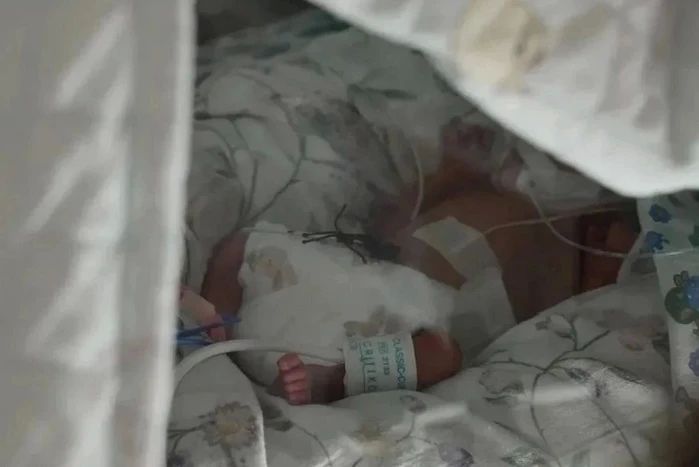 "Появились пухлые щечки и хулиганский характер": малыша весом 830 граммов спасли в Приморье