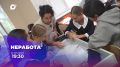 Новый выпуск «НЕработы» уже завтра на ОТВ