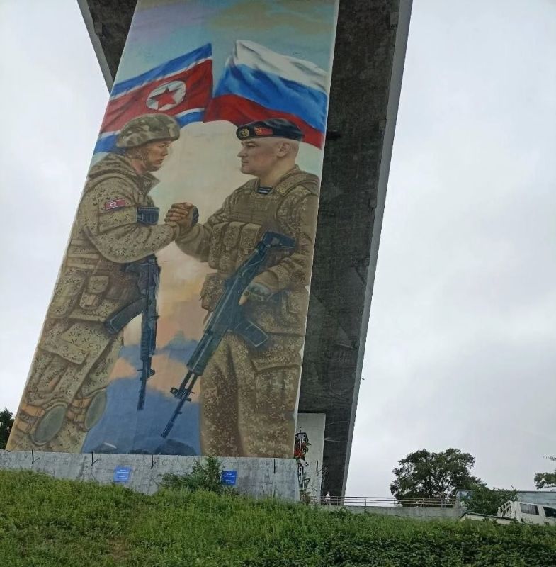 Сергей Колясников: Сергей, лови красивое! Мост через Золотой Рог во Владивостоке