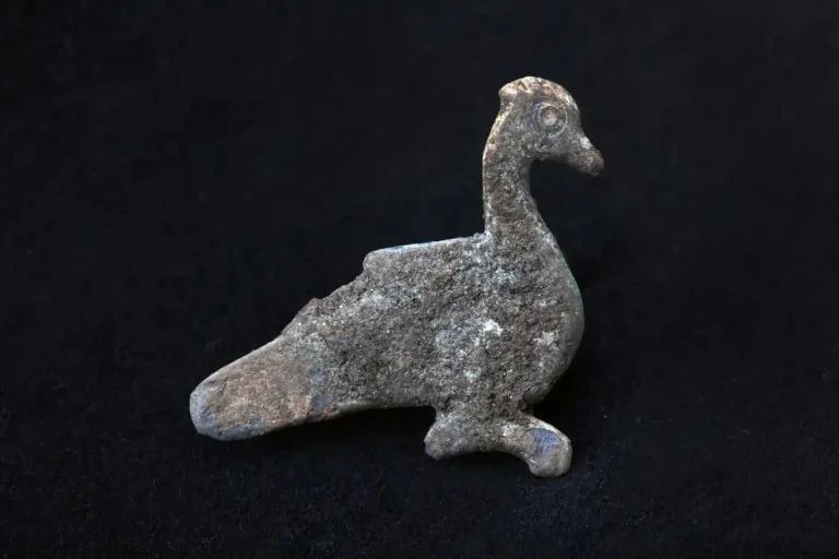 Швейцарские строители случайно раскопали римскую фабрику возрастом 1800 лет Швейцарские строители случайно раскопали римскую фабрику возрастом 1800 лет