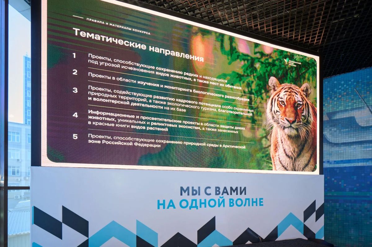 До 50 миллионов – на добрые дела для природы До 50 миллионов – на добрые дела для природы