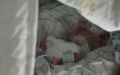 Малыш весом всего 830 граммов выжил и почти удвоил вес во Владивостоке
