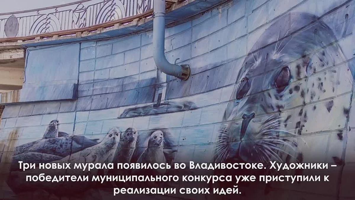 Константин Шестаков: #итоги_недели. • Более 550 тонн нового асфальта уложили на дорогах Владивостока за неделю