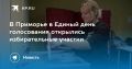 Выборы в Приморье: голосуем до 20:00