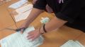 «Гасят» неиспользованные бюллетени, вскрывают ящик для голосования , извлекают «народное волеизъявление» и начинают его подсчет