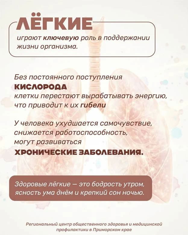 Дышать полной грудью — значит заботиться о лёгких каждый день Дышать полной грудью — значит заботиться о лёгких каждый день