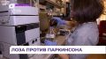 Приморские учёные нашли в винограде вещество против болезни Паркинсона