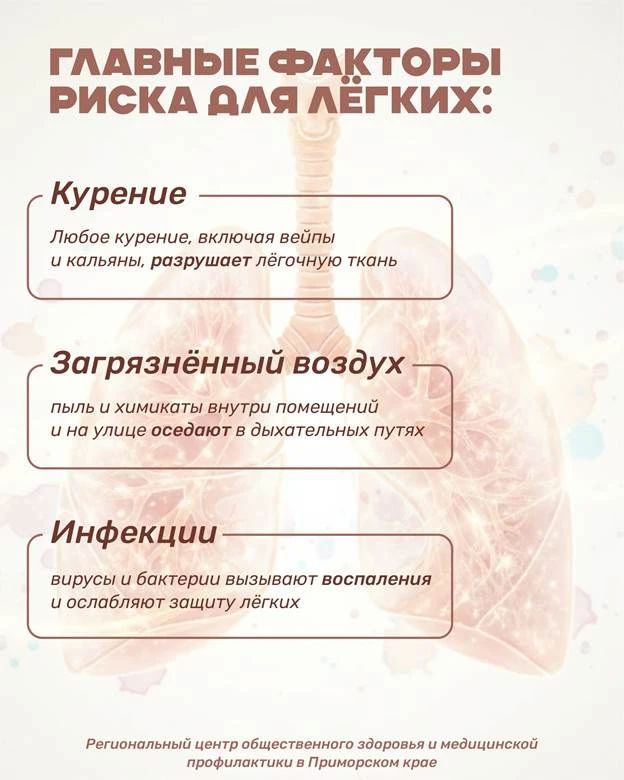 Дышать полной грудью — значит заботиться о лёгких каждый день Дышать полной грудью — значит заботиться о лёгких каждый день