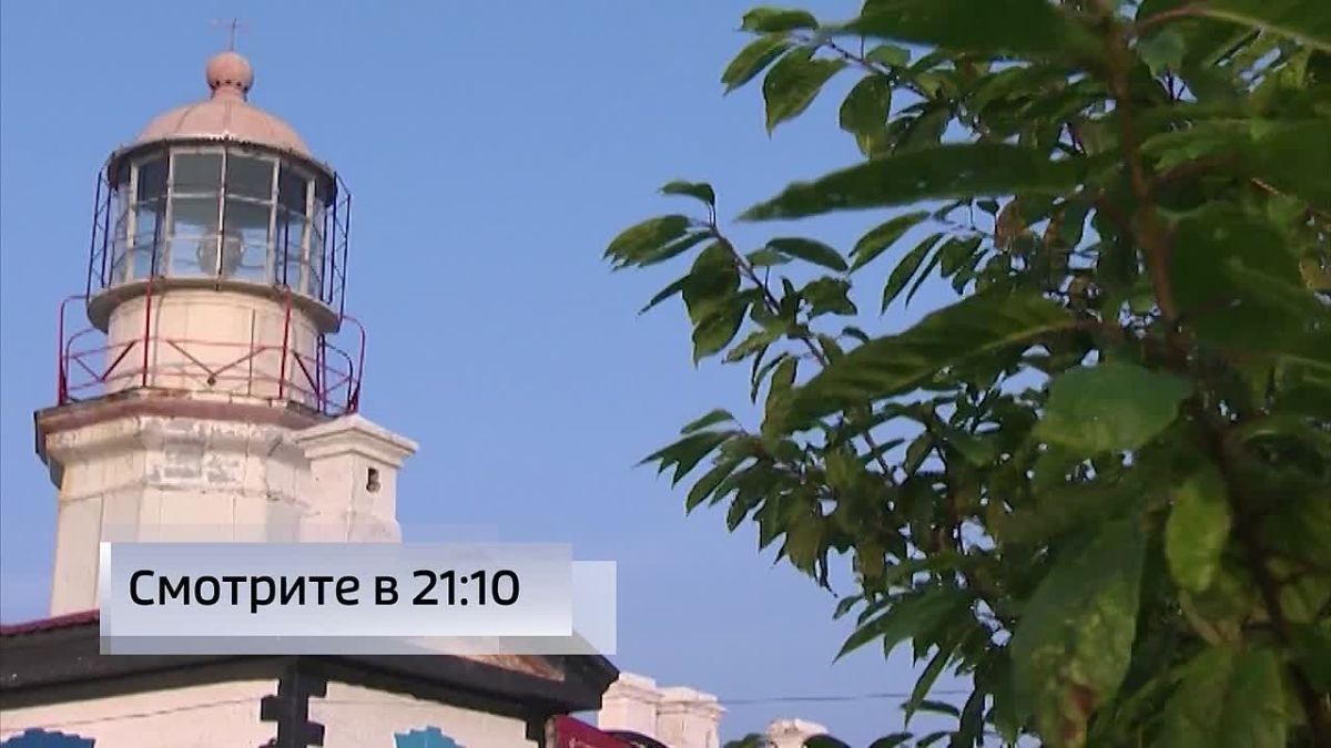 Во Владивостоке из-за незваного гостя жителям многоэтажки пришлось вызывать спасателей, а встреча с щитомордников на Русском острове вообще закончилась в больнице
