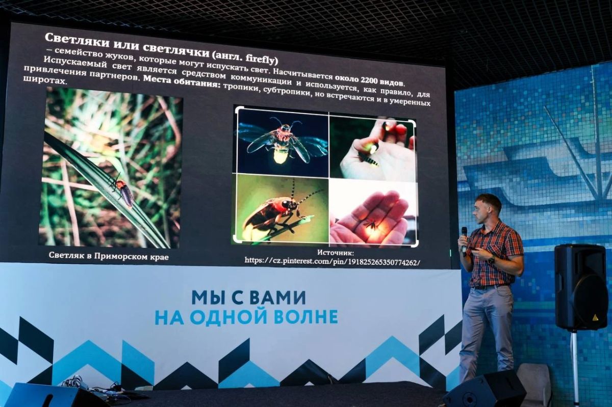 Дикая природа — в объективе приморских фотографов Дикая природа — в объективе приморских фотографов