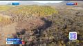 Сегодня в Приморье сохраняется высокий класс пожарной опасности