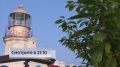 Во Владивостоке из-за незваного гостя жителям многоэтажки пришлось вызывать спасателей, а встреча с щитомордников на Русском острове вообще закончилась в больнице