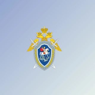 Следственным комитетом Приморья возбуждено уголовное дело по факту избиения 14-летней девочки в Артёме