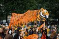 День тигра отметят жители Владивостока