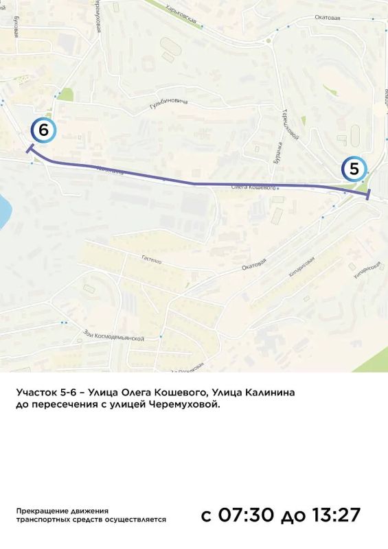Во Владивостоке пройдет юбилейный марафон по мостам Galaxy Vladivostok Marathon Во Владивостоке пройдет юбилейный марафон по мостам Galaxy Vladivostok Marathon