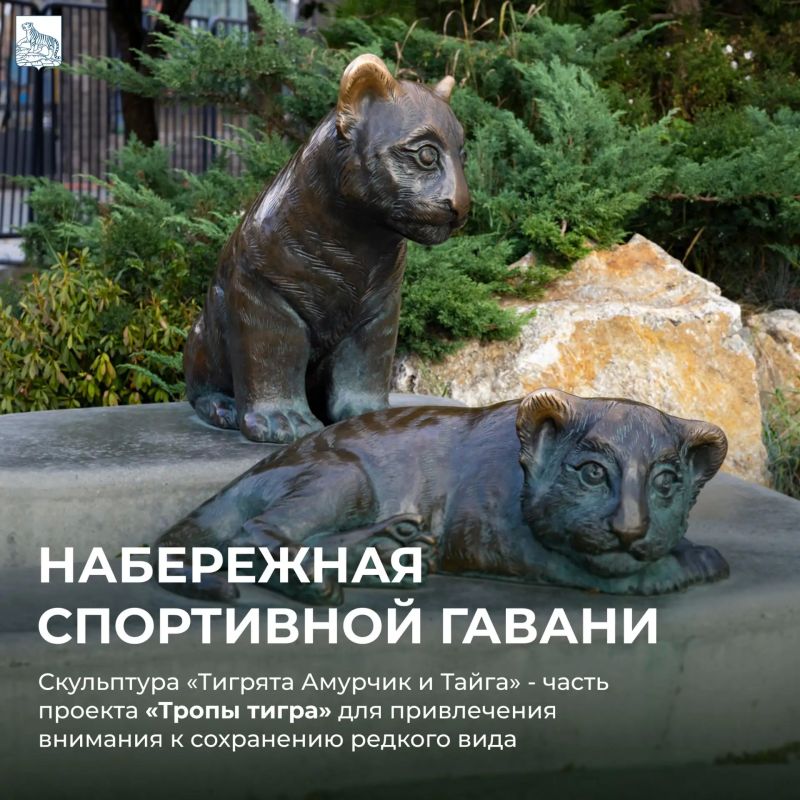 С Днем тигра, Владивосток! С Днем тигра, Владивосток!