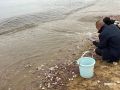 �� ����� ������ ����� �������� �������� ���������� �������� ����� � ��� ������� �������� �������
