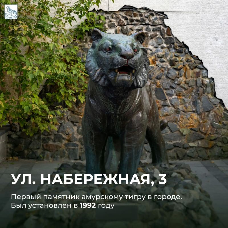 С Днем тигра, Владивосток! С Днем тигра, Владивосток!