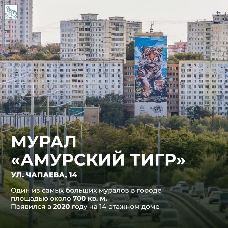 С Днем тигра, Владивосток! С Днем тигра, Владивосток!