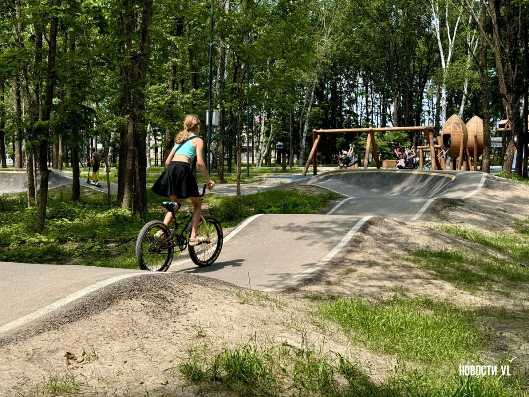 С кинетическим драконом, кортом для городков и без брусчатки: в Камне-Рыболове открыли обновленный парк на берегу Ханки С кинетическим драконом, кортом для городков и без брусчатки: в Камне-Рыболове открыли обновленный парк на берегу Ханки