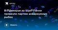 Приморье пополнилось экзотическими аквариумными рыбками