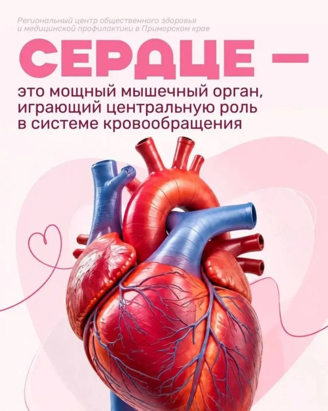 В Приморье началась неделя ответственного отношения к сердцу В Приморье началась неделя ответственного отношения к сердцу