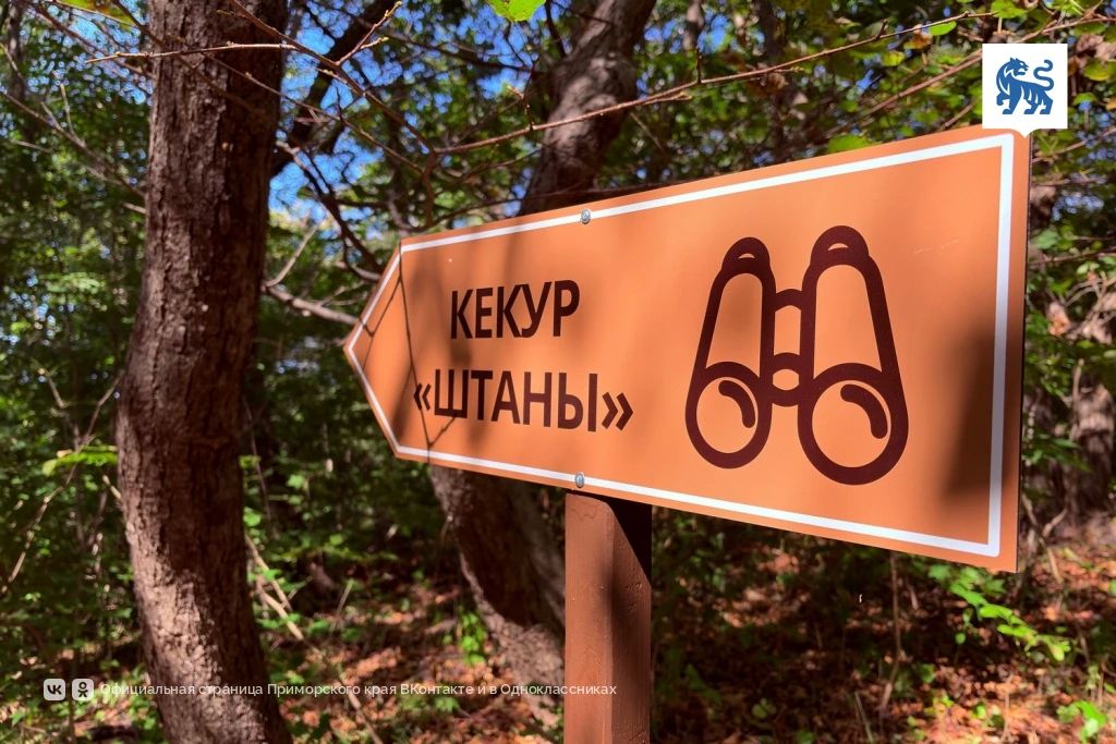 Новая экотропа открыта в Морском заповеднике во Владивостоке Новая экотропа открыта в Морском заповеднике во Владивостоке