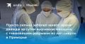 Спасение на грани: в Приморье женщину вытащили из лап смерти