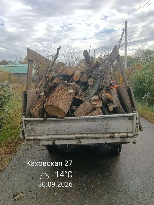 Содержание зелёных насаждений: итоги сентября
