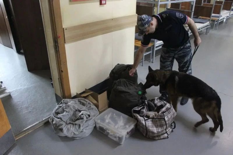 В Приморском крае полиция проводит II этап акции «Защитники Отечества» В Приморском крае полиция проводит II этап акции «Защитники Отечества»