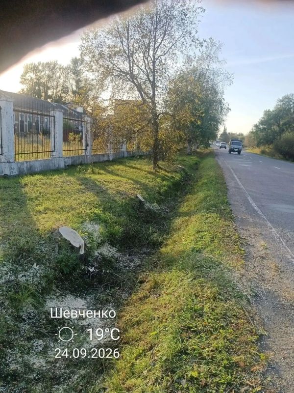 Содержание зелёных насаждений: итоги сентября Содержание зелёных насаждений: итоги сентября