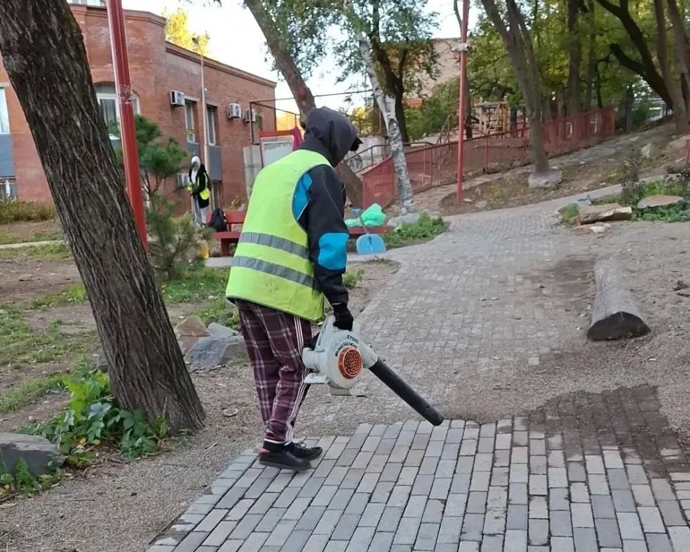 Осень вступает в свои права, а мы продолжаем наводить порядок на зеленых зонах Владивостока Осень вступает в свои права, а мы продолжаем наводить порядок на зеленых зонах Владивостока