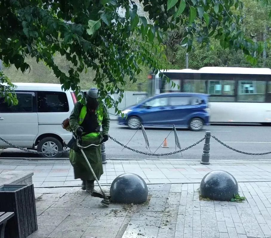 Осень вступает в свои права, а мы продолжаем наводить порядок на зеленых зонах Владивостока Осень вступает в свои права, а мы продолжаем наводить порядок на зеленых зонах Владивостока