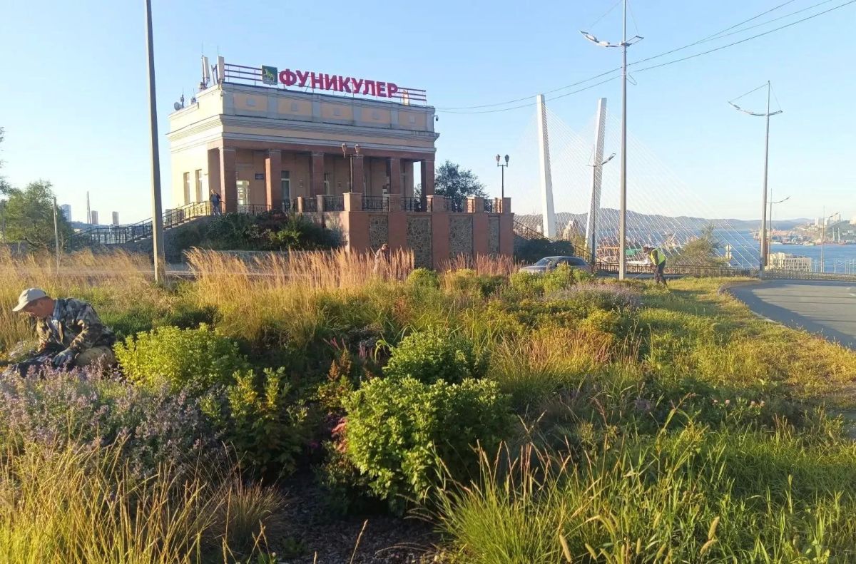Осень вступает в свои права, а мы продолжаем наводить порядок на зеленых зонах Владивостока