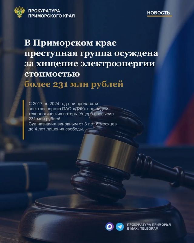 В Приморском крае преступная группа осуждена за хищение электроэнергии стоимостью более 231 млн рублей