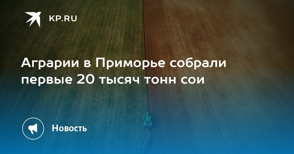 Сбор сои в Приморье стартовал
