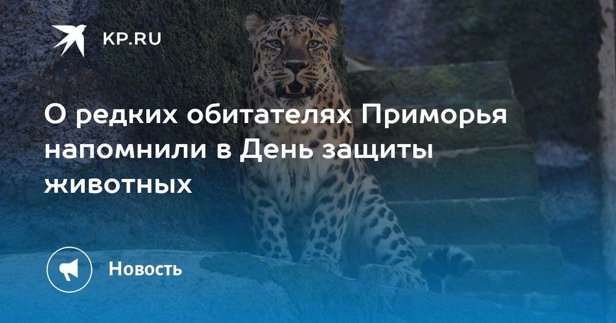 Во Всемирный день защиты животных минприроды Приморья рассказало о редких обитателях края