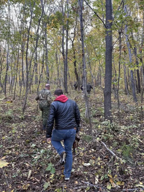 Квадрокоптер помог найти заблудившихся грибников Квадрокоптер помог найти заблудившихся грибников